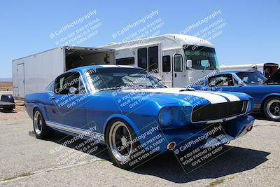 media/May-07-2022-Cobra Owners Club of America (Sat) [[e681d2ddb7]]/Around the Pits/